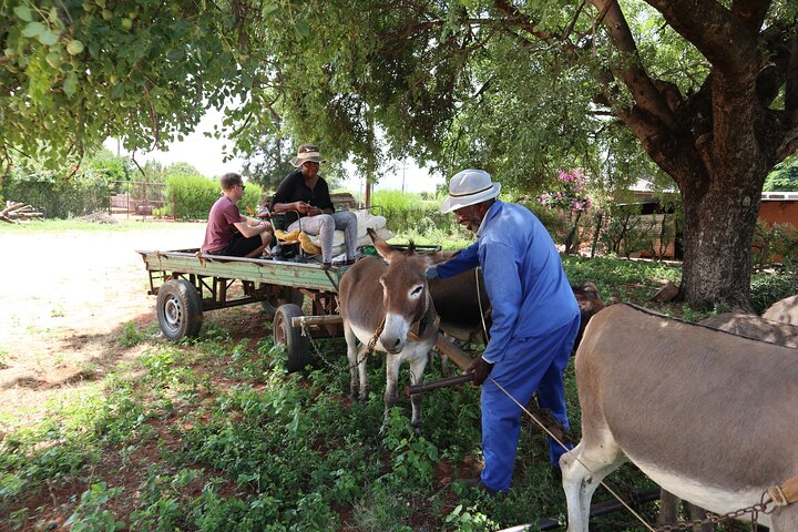 Half Day Tour from Gaborone (Manyana Village Visit)