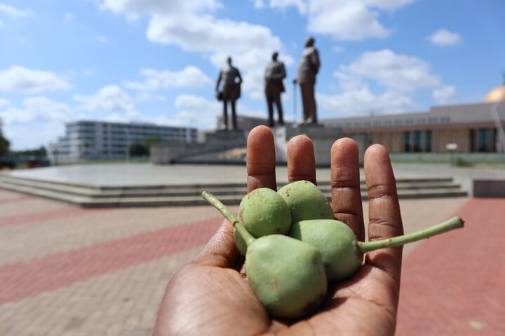 Gaborone City Tour (Half Day tour)