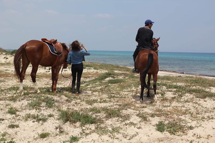 Horseback riding with private transfer