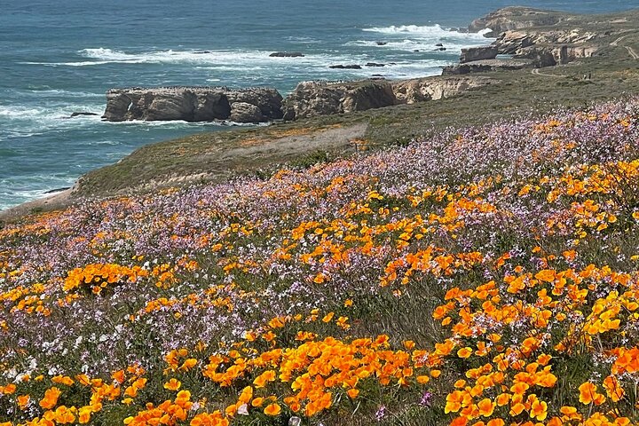 3-Hour Kayaking and Hiking in California’s Central Coast