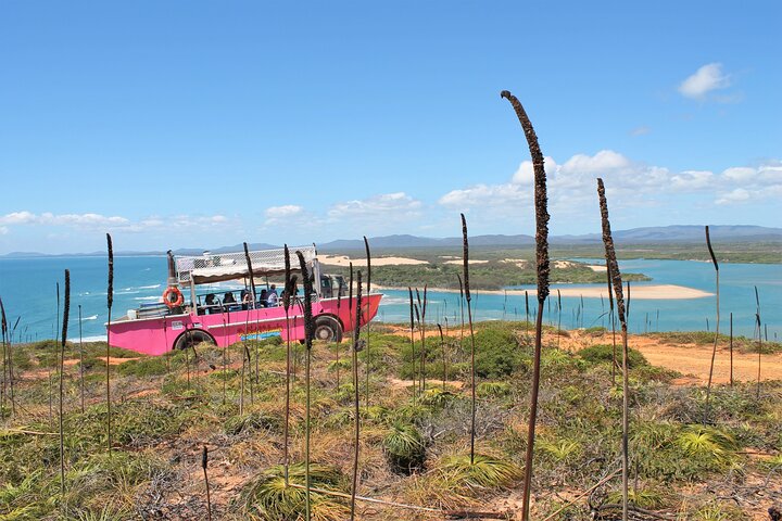 Full-Day 1770 Tour by LARC Amphibious Vehicle Including Sandboarding and Bustard Head Lightstation