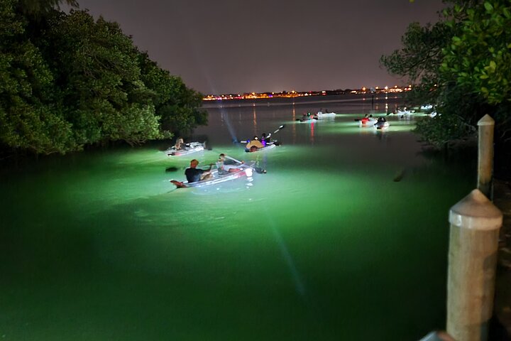 Sarasota - Clear Kayak LED Night Glass Bottom Tour