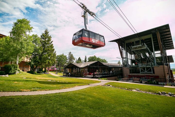 Jackson Hole Summer Aerial Tram Sightseeing