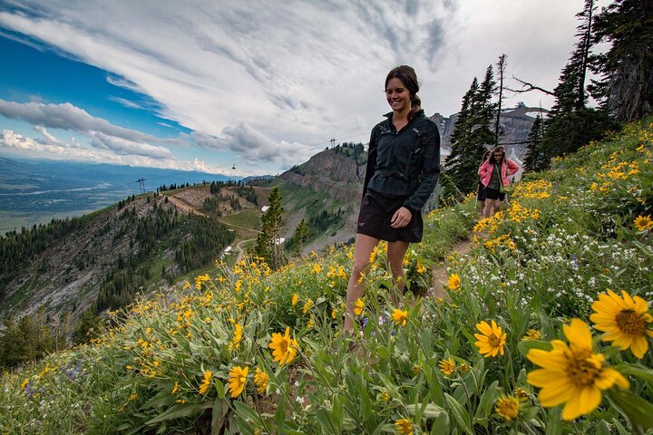 Jackson Hole Summer Aerial Tram Sightseeing