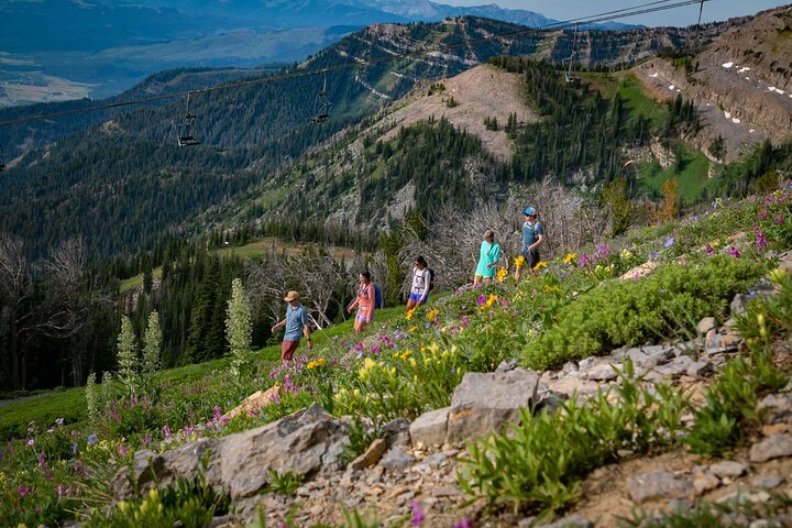 Jackson Hole Summer Aerial Tram Sightseeing