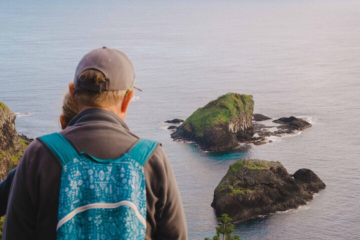 Breakfast Bushwalk & Clifftop BBQ Tour