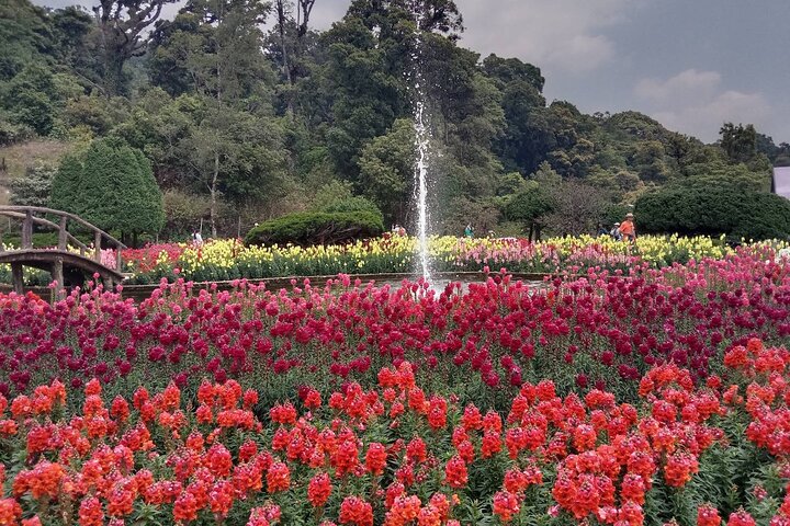 Chiang Mai - Doi Inthanon Full day Tour