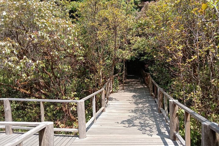 Chiang Mai - Doi Inthanon Full day Tour