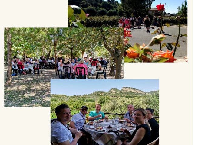 Private Excursion to Ancient Olympia - bee farm & winery