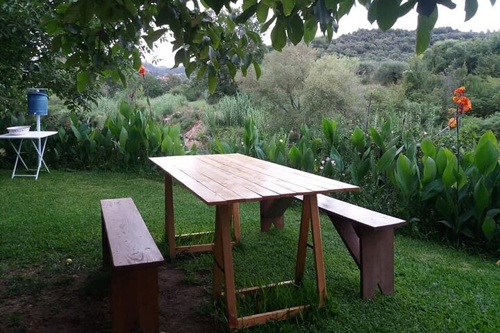 Private Excursion to Ancient Olympia - bee farm & winery
