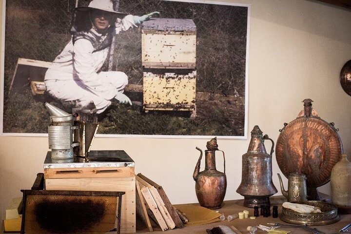 Private Excursion to Ancient Olympia - bee farm & winery