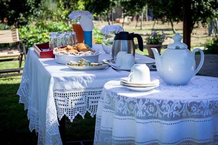 Private Excursion to Ancient Olympia - bee farm & winery