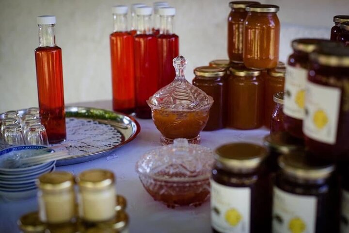 Private Excursion to Ancient Olympia - bee farm & winery