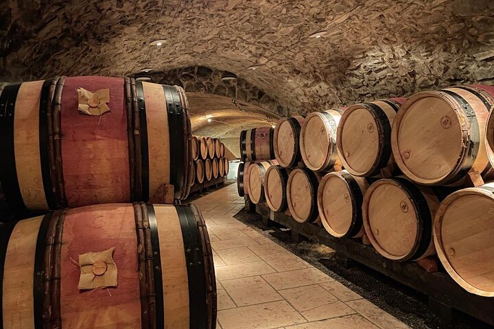 Guided tour and wine tasting Northern Rhône Valley
