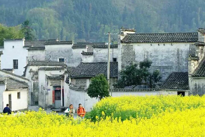 2-Day Tour Private Huangshan Yellow Mountain Tour from Shanghai