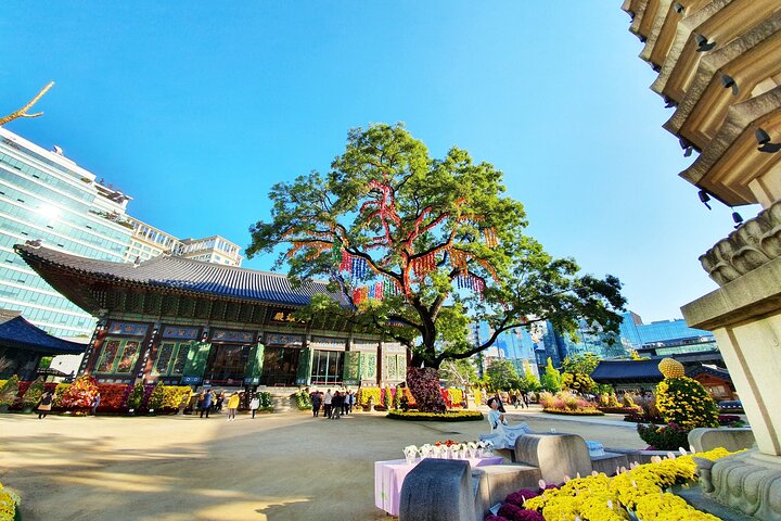 Small-Group Full-Day Royal Palace & Seoul City Tour (Pick-up)