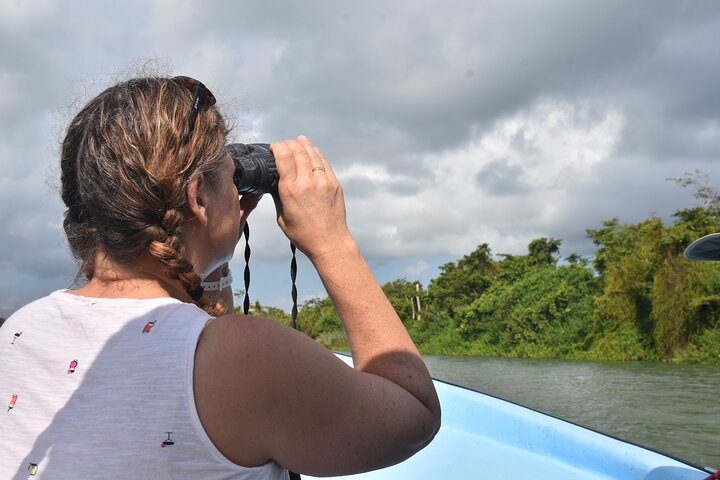 Monkey River Jungle Wildlife Encounters and Manatee Watch