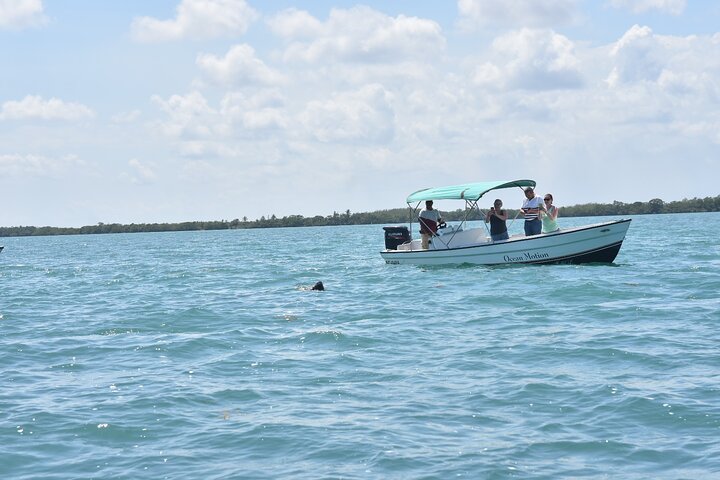 Monkey River Jungle Wildlife Encounters and Manatee Watch