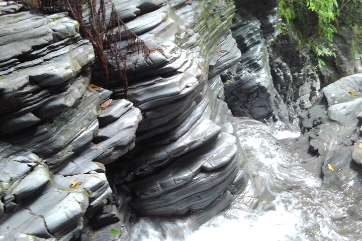 Okinawa Jungle Trails & Waterfalls – Private Yanbaru Tour