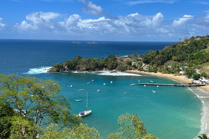 Birdwatching, Waterfall, Rainforest and Island Nature Tours