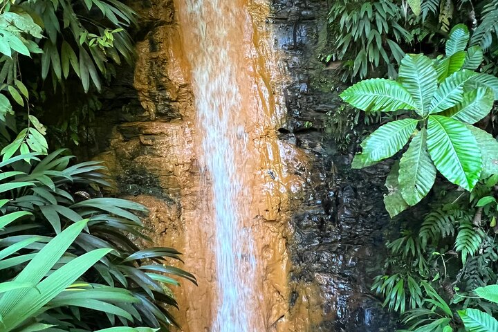 Birdwatching, Waterfall, Rainforest and Island Nature Tours