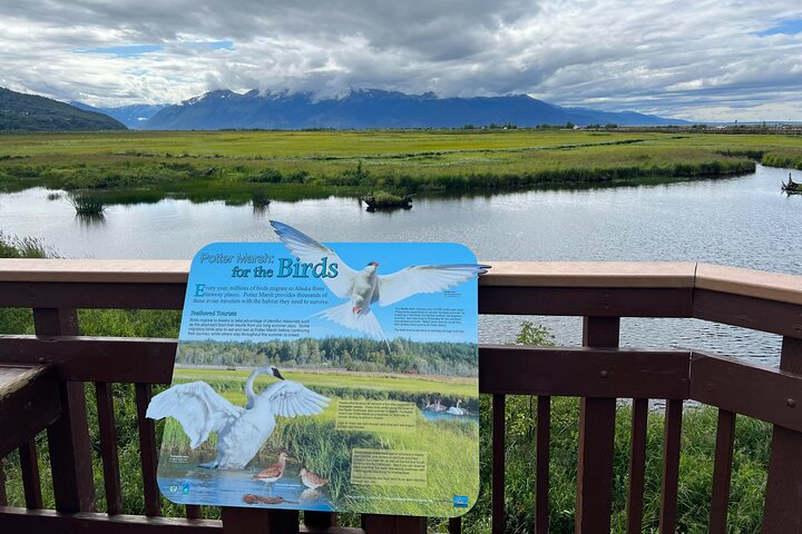 Whittier Cruise Transfer with Wildlife&Glacier tour to Anchorage