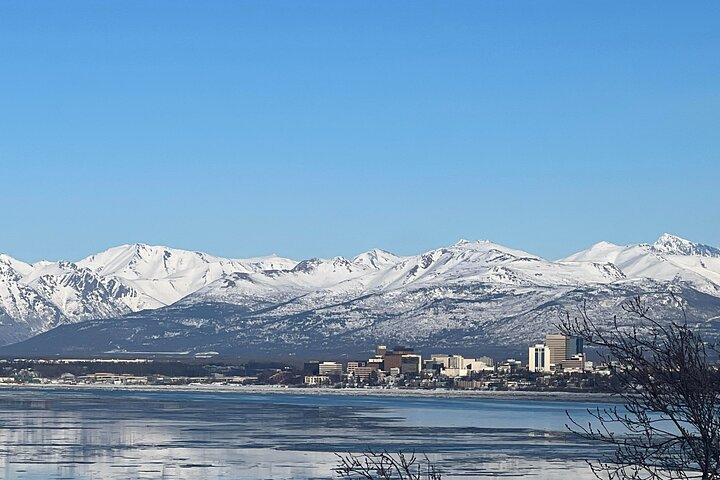 Whittier Cruise Transfer with Wildlife&Glacier tour to Anchorage