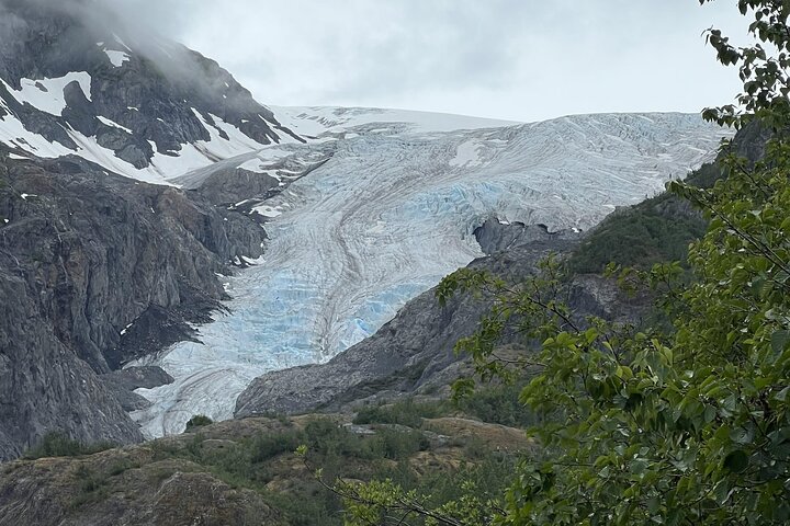 Seward Cruise Transfer with Wildlife & Scenic Tour to Anchorage