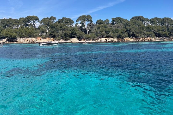 Discover the Lérins Islands and the Bay of Cannes by Private Boat