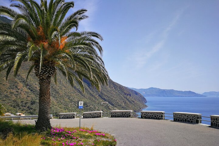 Private and guided tour of Salina: Discovering the Green Island