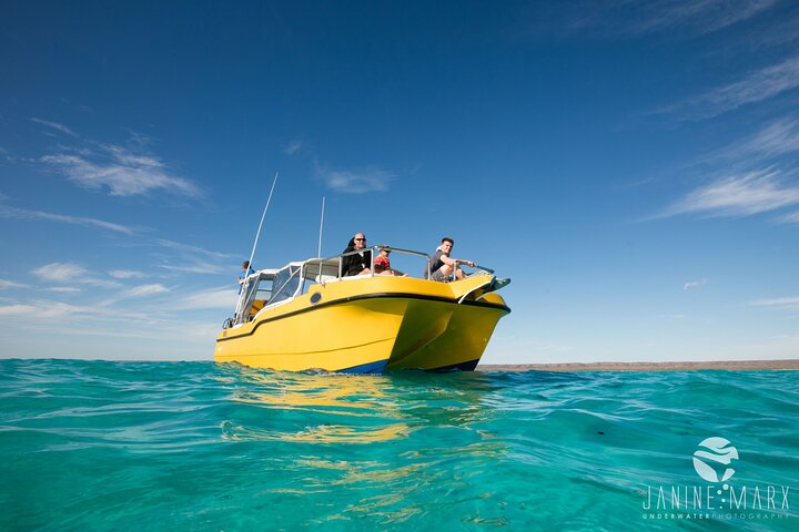 2.5 hour Snorkel / Turtle Tour on the Ningaloo Reef, Exmouth