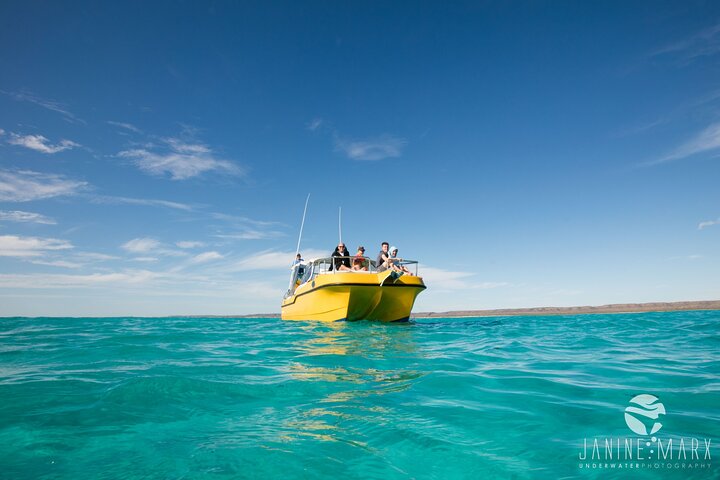 6 hour Ningaloo Reef Snorkel and Wildlife Adventure