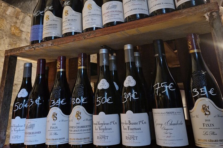 Burgundy Wines Masterclass in Dijon