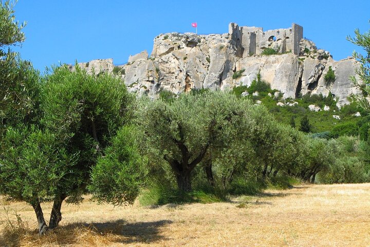Arles, Les Baux and Saint-Remy villages Full Day Trip from Aix