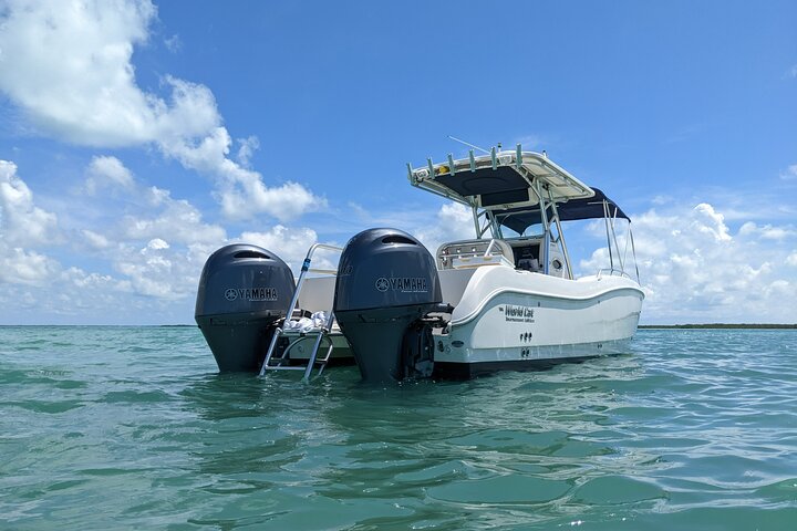 Let it Ride Charters - Private Fishing Charter Adventure in Key Largo, FL