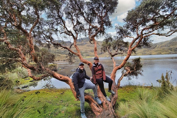 Cuenca to Guayaquil one-way tour with Cajas Park and a Cacao Farm visit
