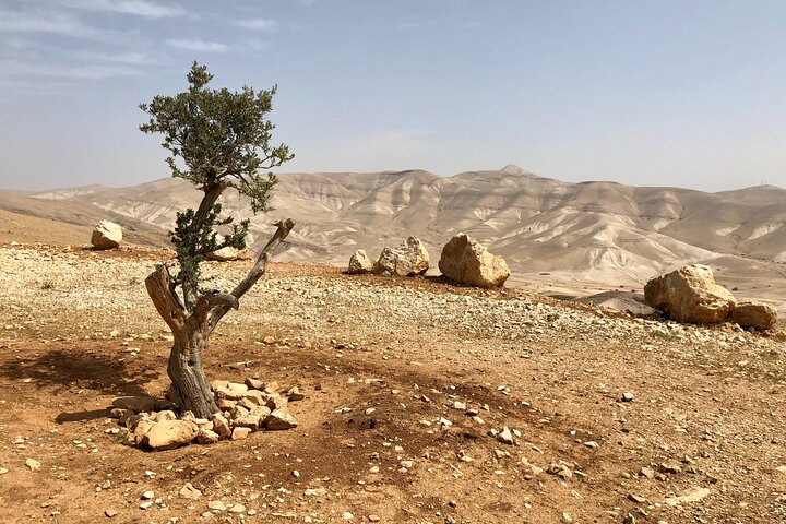 Travel To Jericho & Jordan River Half Day Self Guided Tour