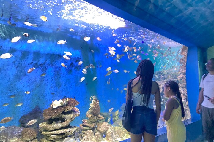 VIP Private Nha Trang City Tour - Best Nha Trang Excursion