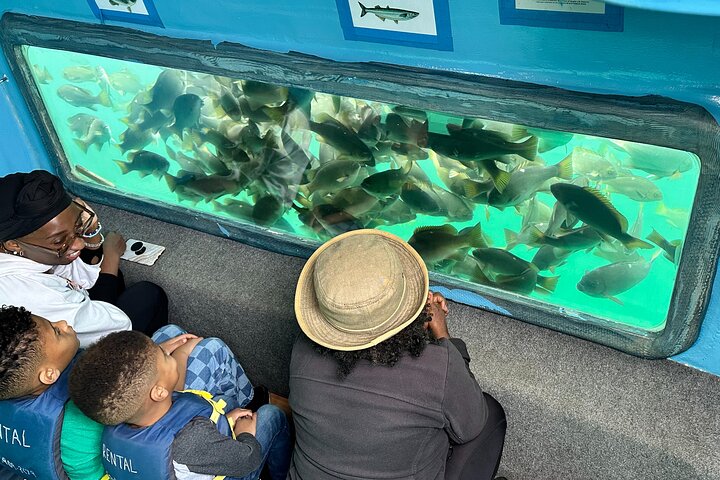 Glass Bottom Boat Ride in Redondo Beach