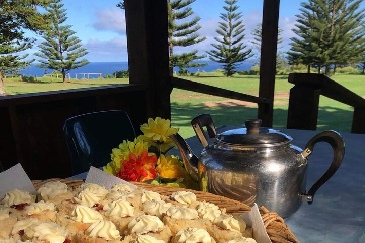Island Orientation Tour with Airport Transfer Norfolk Island