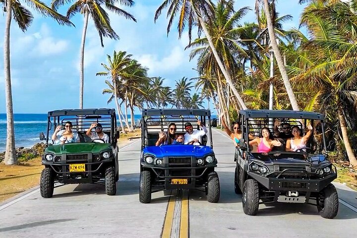 Beach Cart in San Andrés : your ideal Caribbean experience