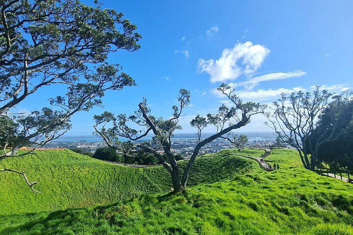 2025 Award Winning: Auckland City Highlights Half Day Tour