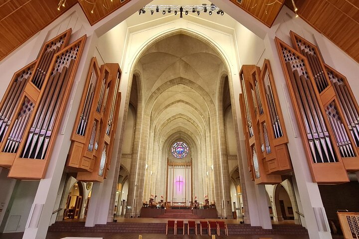 2025 Award Winning: Auckland City Highlights Half Day Tour