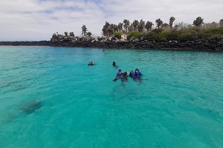 Pinzón Island Day Tour: Santa Fe & Las Palmas Snorkeling