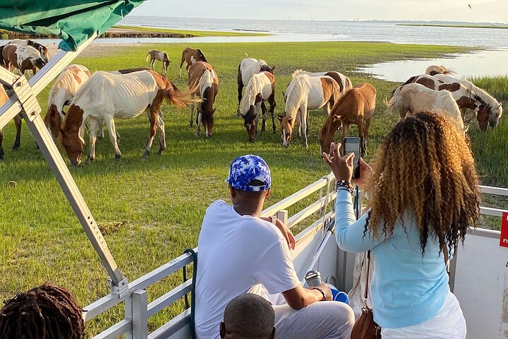 Sunset Wildlife Cruise along Assateague & Chincoteague Island
