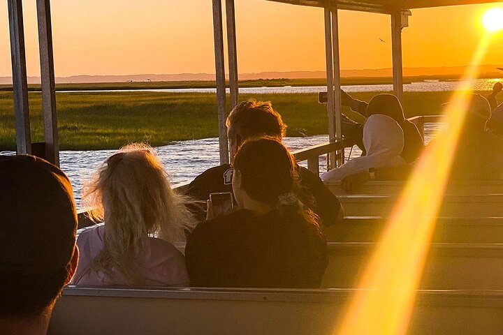Sunset Wildlife Cruise along Assateague & Chincoteague Island