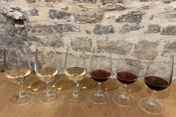 Cheese and Wine Pairing 1-Hour Session in Dijon