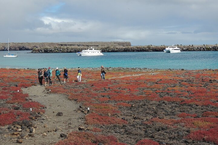 South Plazas and Punta Carrion Day Tour:Land Iguanas & Snorkeling