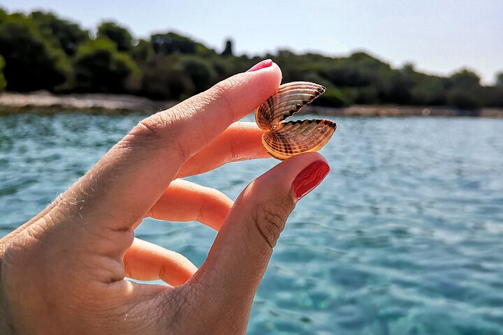 Private Boat Trip Swim and Chill in Crystal Blue Šibenik half day