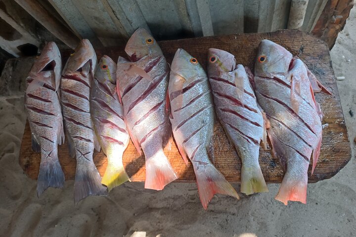 Full Day Tour with Fishing and Snorkeling from Holbox